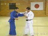 Kashiwazaki  tomoe juji video