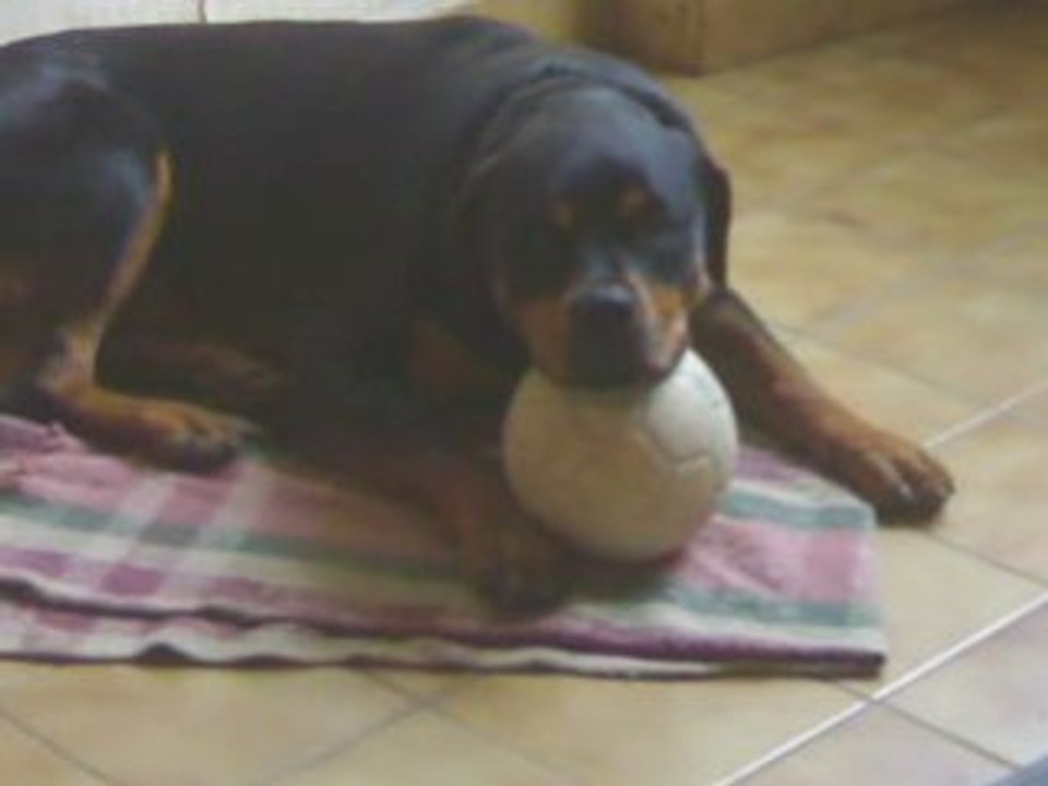 Video kenza_0001