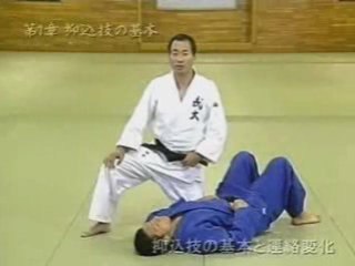 Kashiwazakii Kami and Tate shio gatame