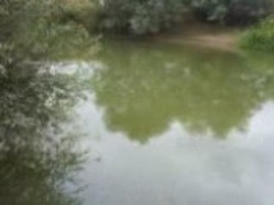 MOV00109