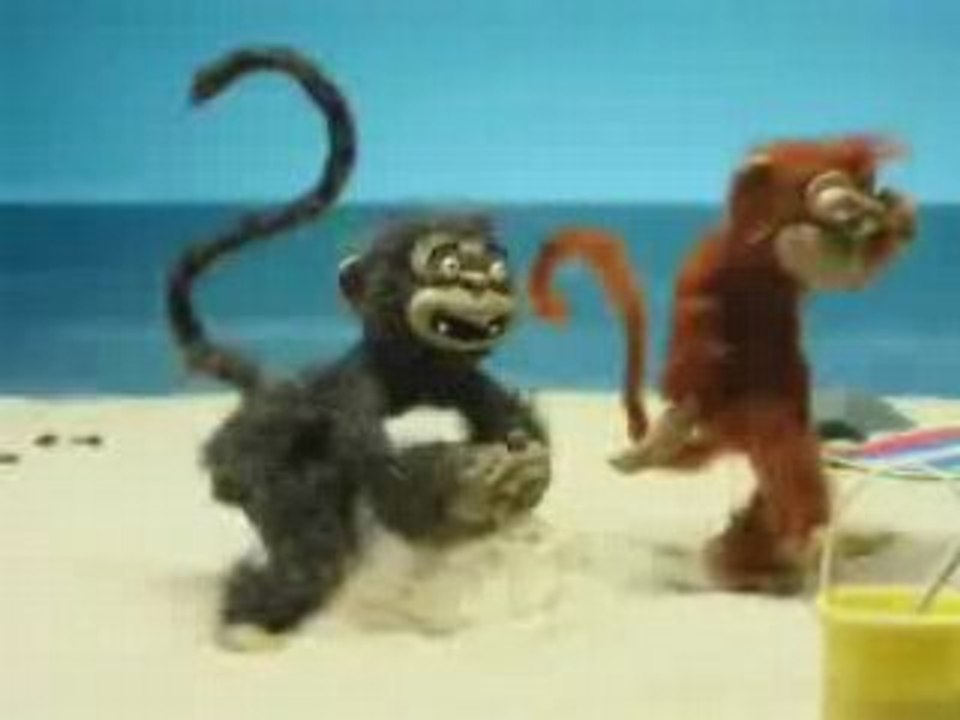 Beach Monkey