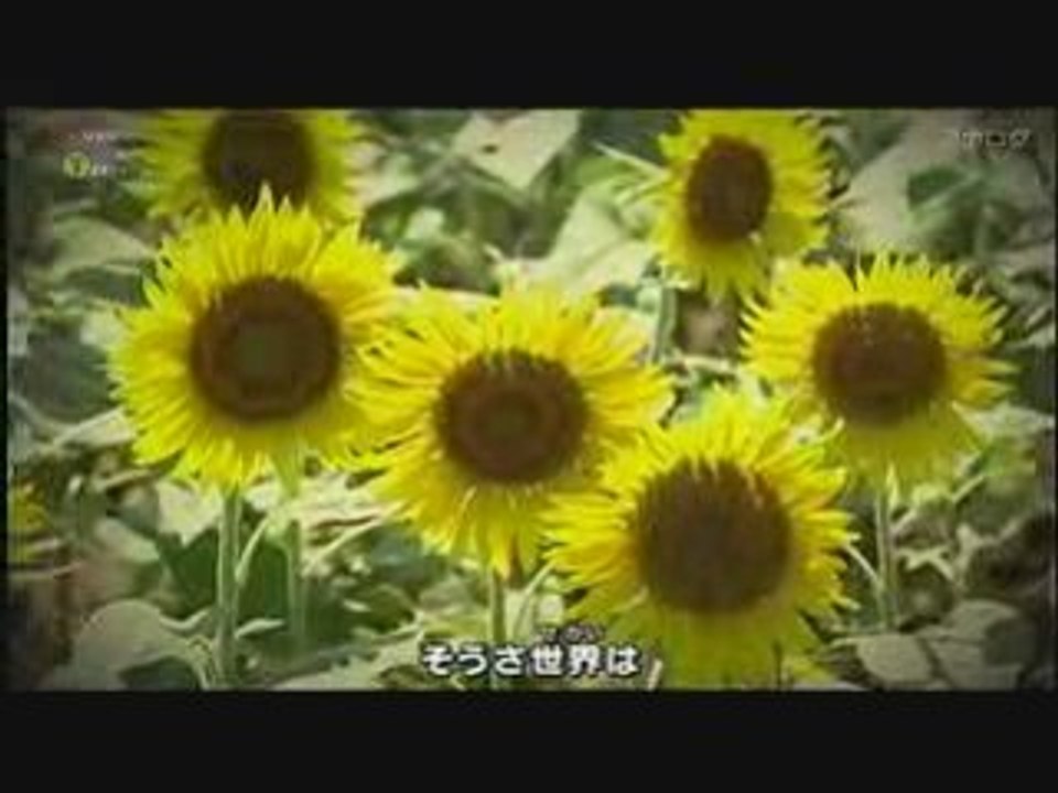 aaa