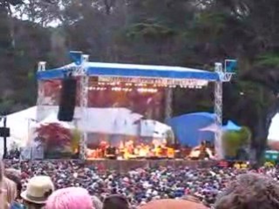 Robert Plant at the 2008 Hardly Strictly Bluegrass Festival