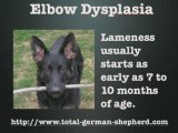 Elbow dysplasia in the German Shepherd - Elbow dysplasia