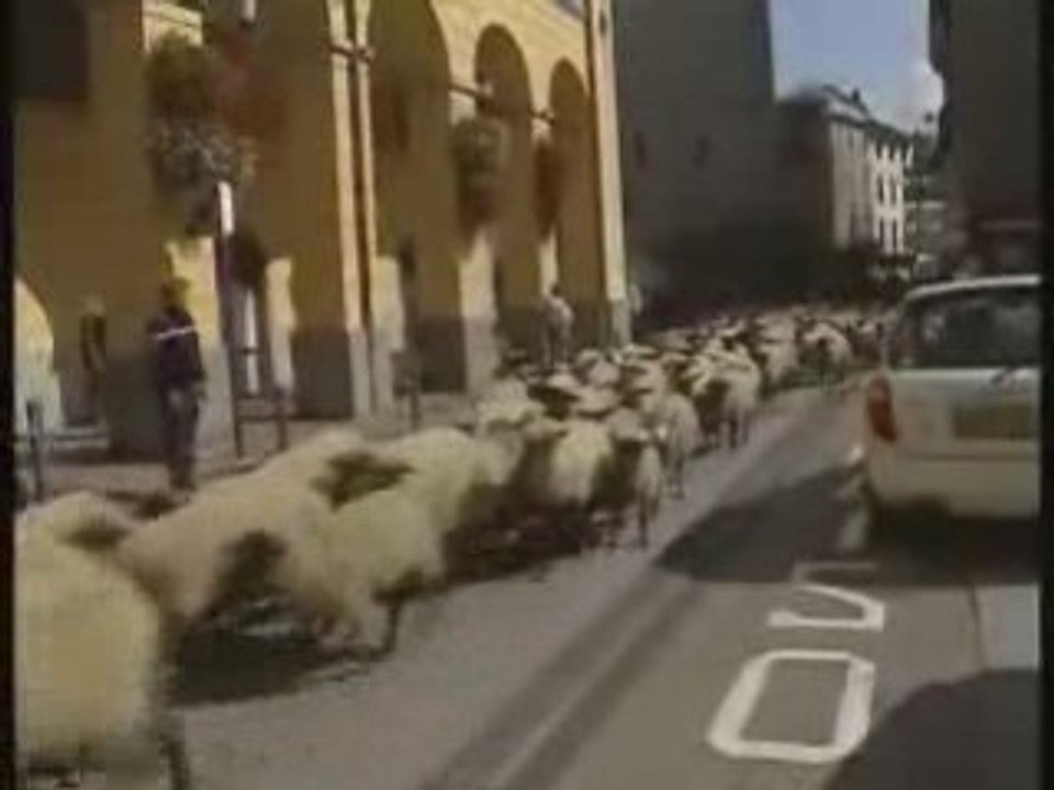 Patous - idée fausse