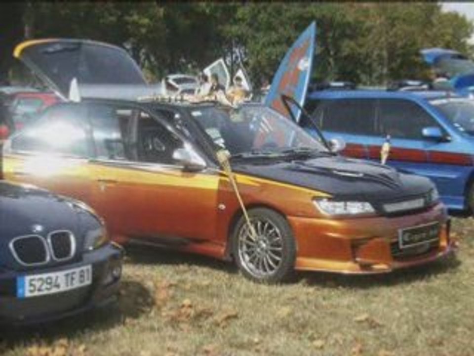 Meeting car'toons party 1