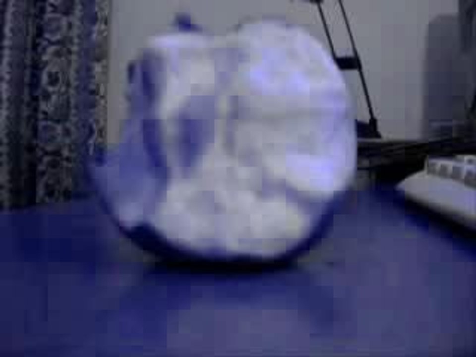 Mes chatons et autres sur Noir désir