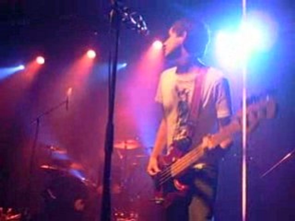 KILL THE YOUNG - We Are The Birds & The Bees