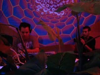 ace ventura majik sterenn 3