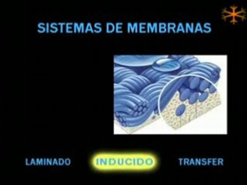 Membranas