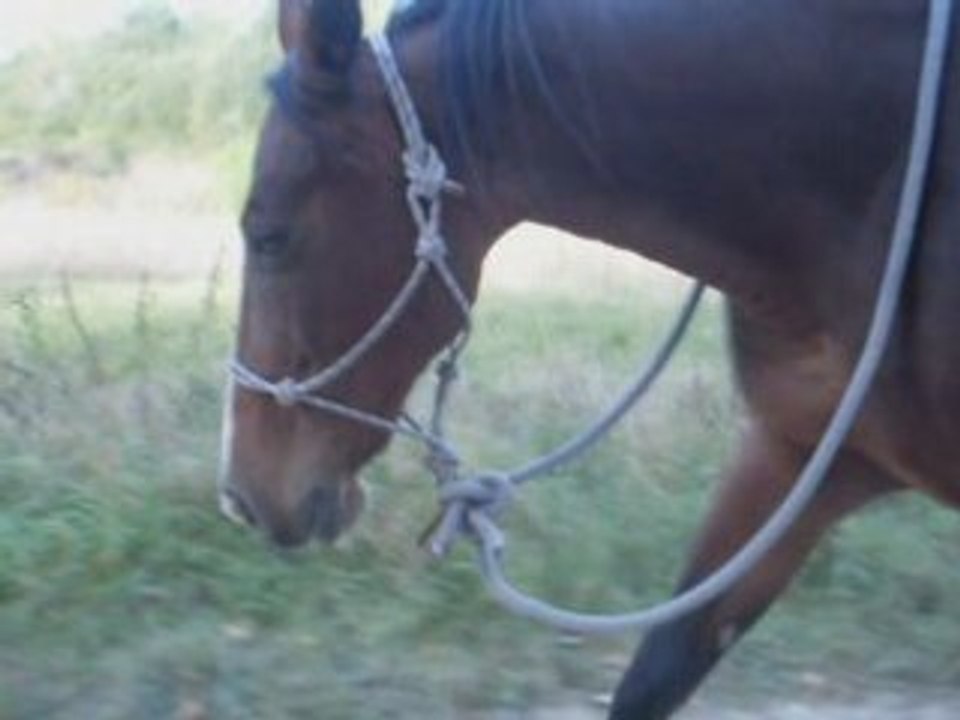Cadence balade liberté a pied