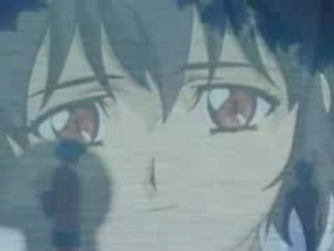 [By † Otto 974 † ]Amv noir-amv france