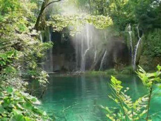 Puisqu'il faut vivre 1