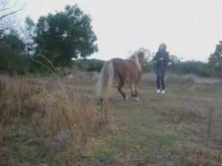 Fructis 6-10-2008 _ une belle séance à pied