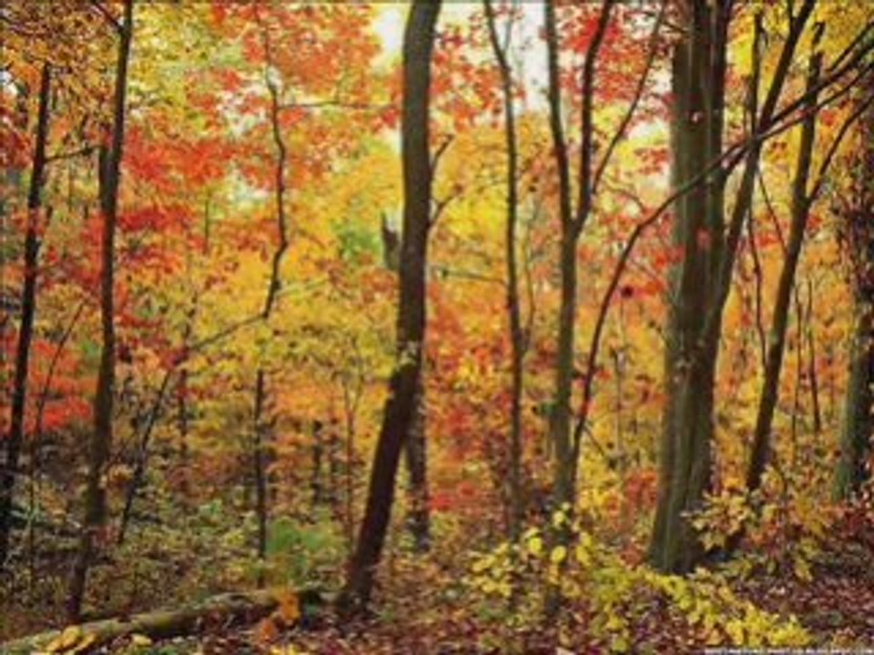 ADMI, ADMI KO KIYA DE GA Jagjeet Singh GHAZAL