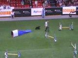 Cocker Noir Championnat du monde d'agility