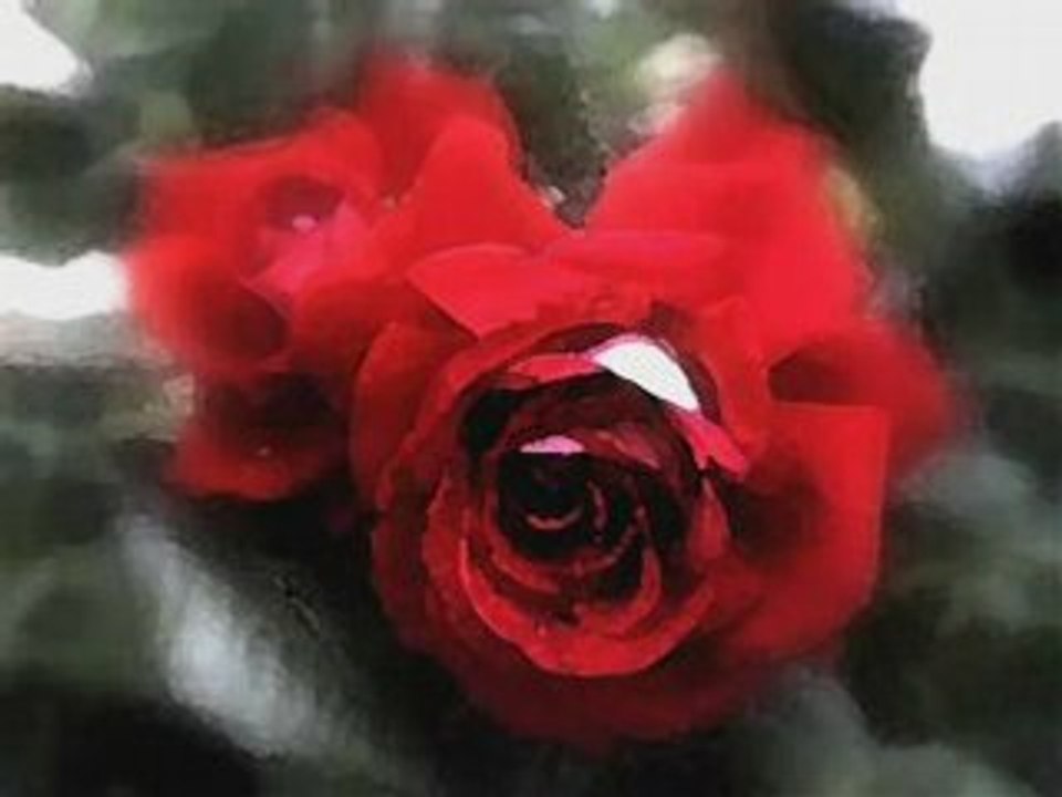 Kimseye Etmem Şikayet