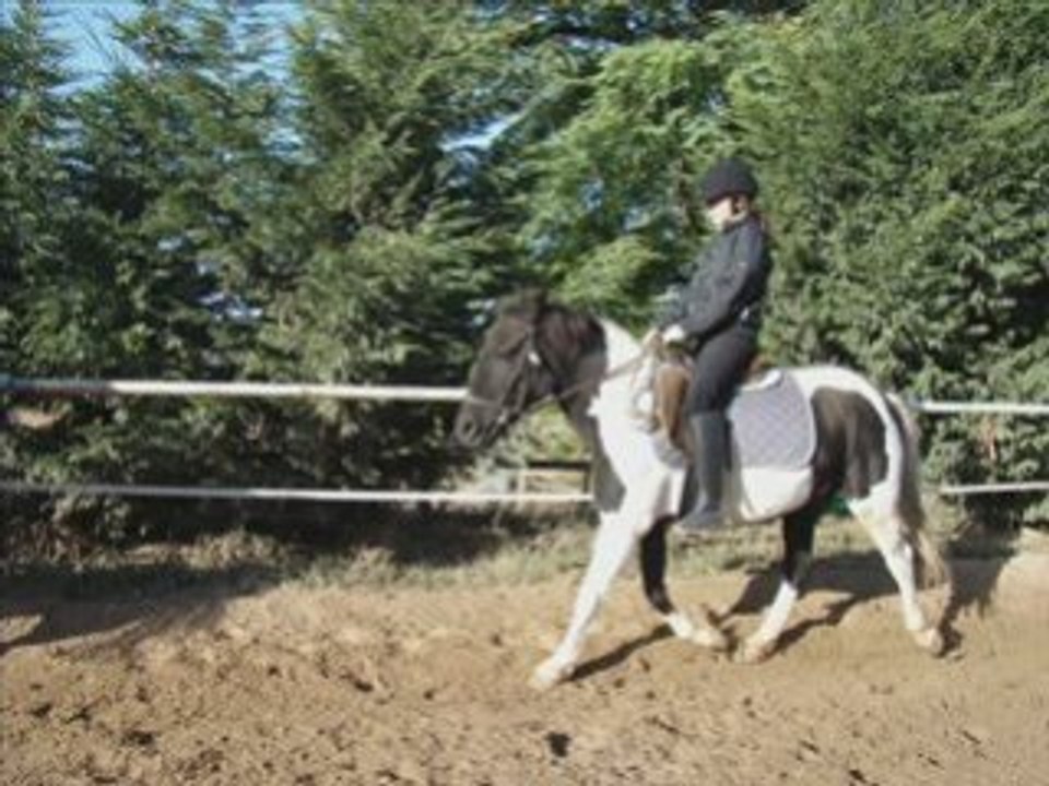 Moi et Lucky samedi 4 octobre 2008 en dressage