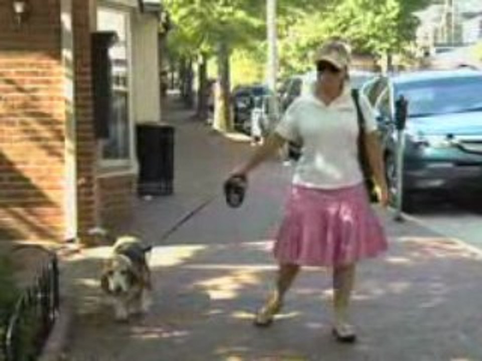 Town of Middleburg Virginia