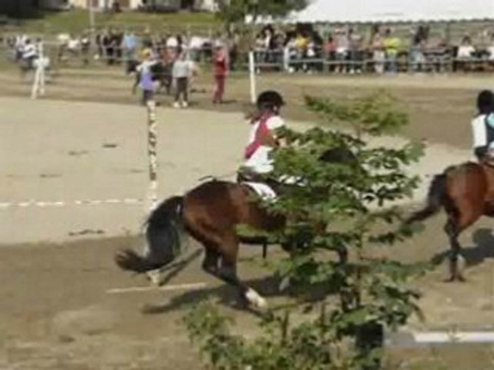Tiercé Petits Poneys