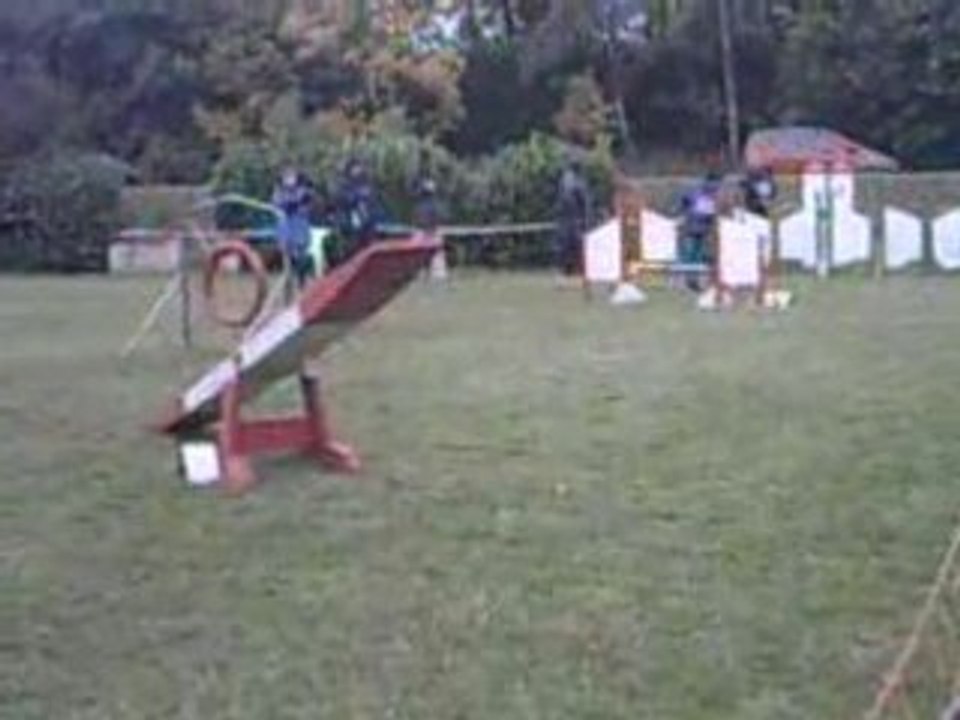 Vidéo tic 03 1er degré