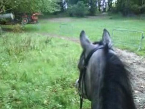 Leçon d'équitation no X