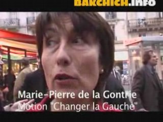 Le PS cultive les motions dans la crise financière