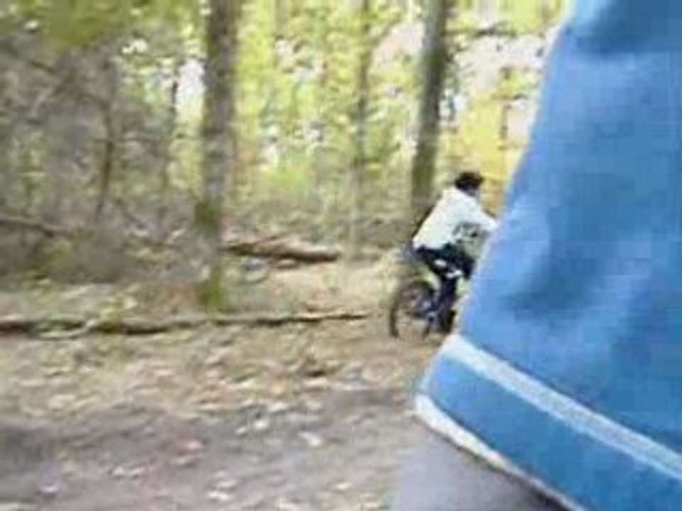 jungle's trail session