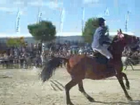 remise des prix championnats 2008