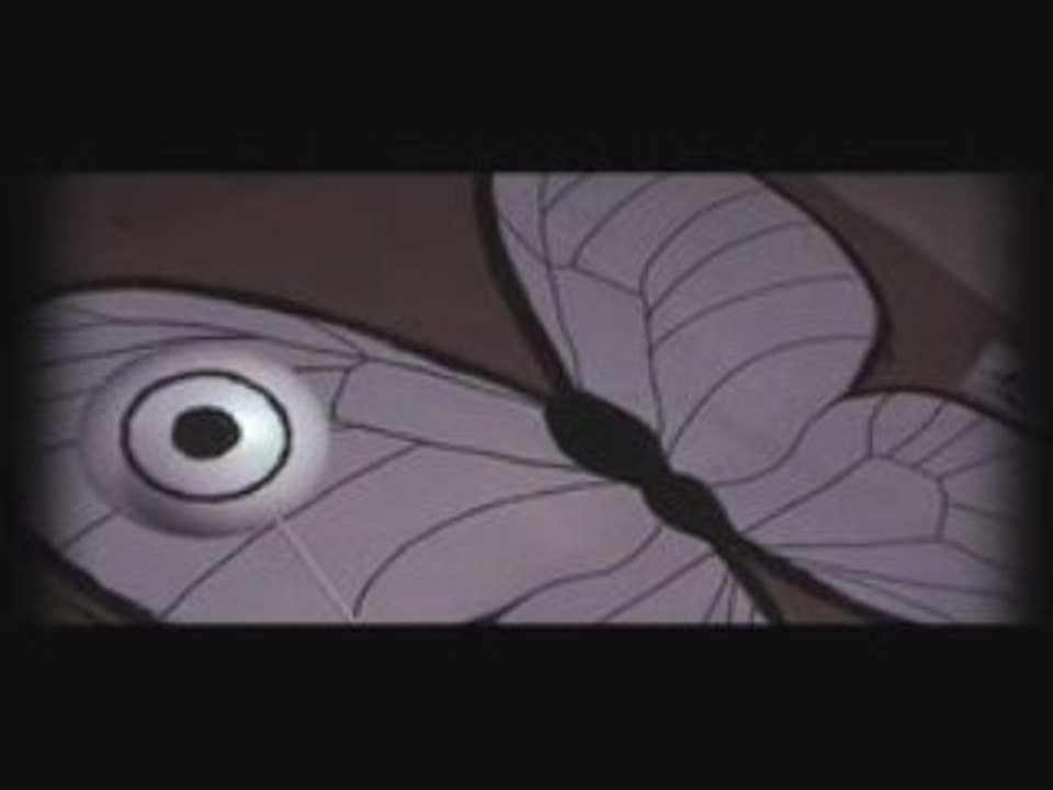Making off insectes