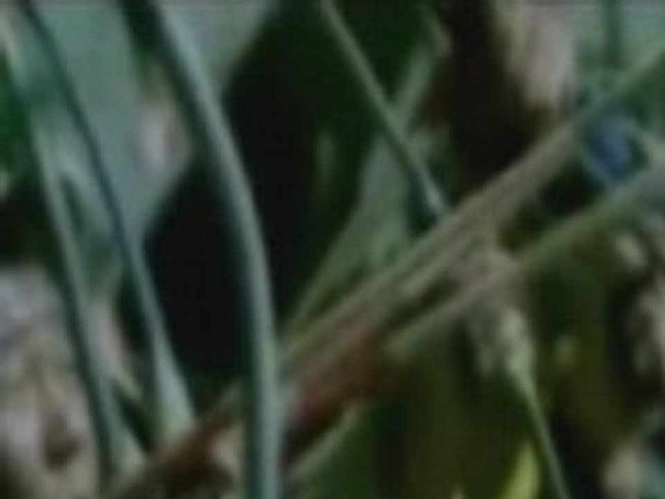 anlat mektupta osmanli turan devleti Mustafa yildızdogan