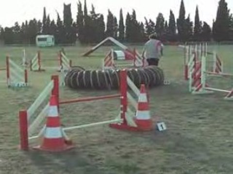 Spok-Jumping-Carcassonne