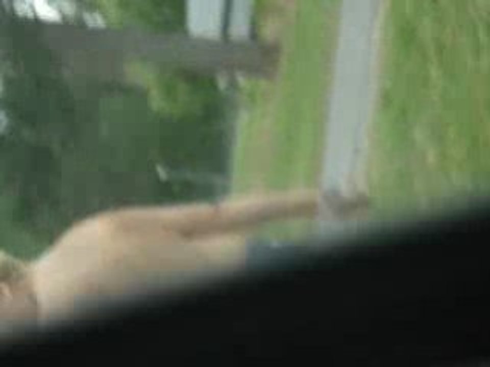 MOV03883