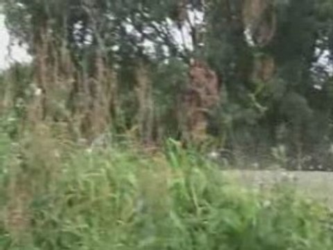 BAJA HPI 5B Entrainement aux sauts