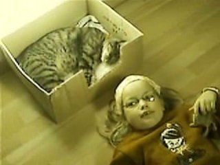 Tout baigne,mais,pas pour Tigrou...!