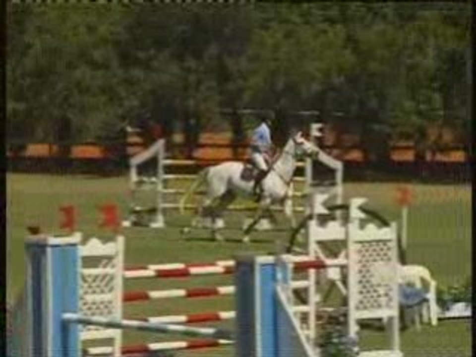 Castano Producciones - Lote 5