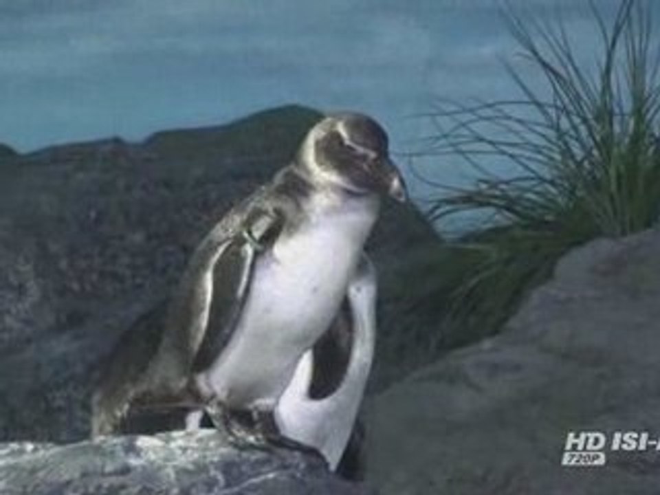 Siam Ocean World Bangkok