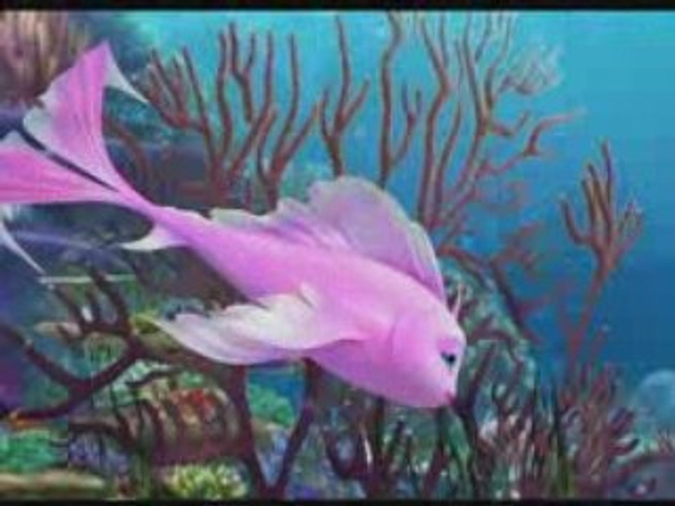 Extrait festin de requin