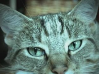 Christian Antonini - Legame Doppio - Booktrailer