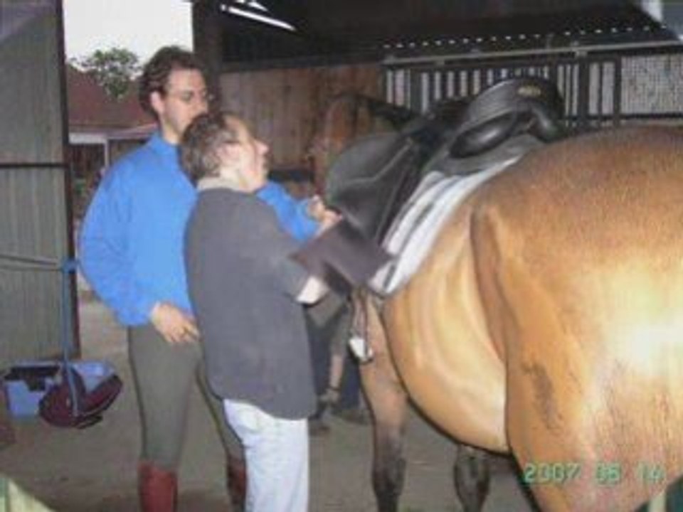 Montage chevaux