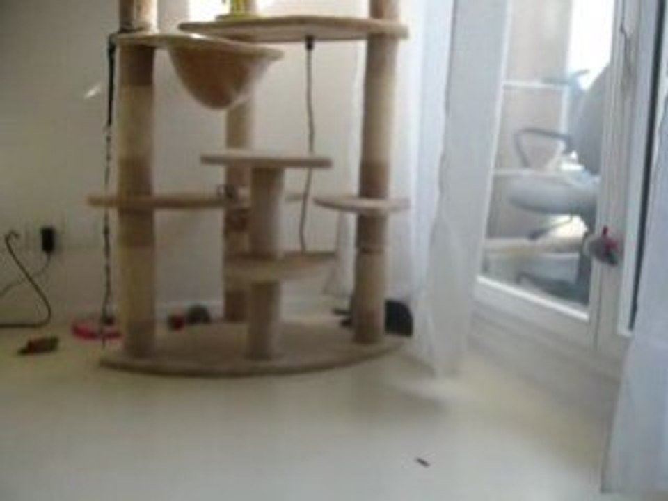 P1010607