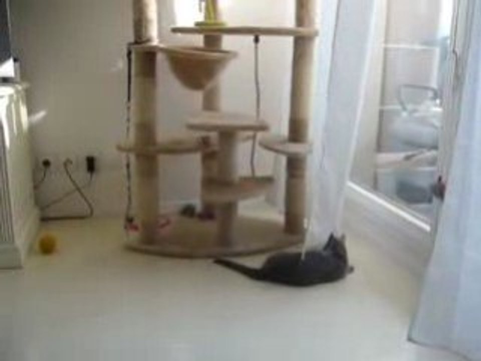 P1010606