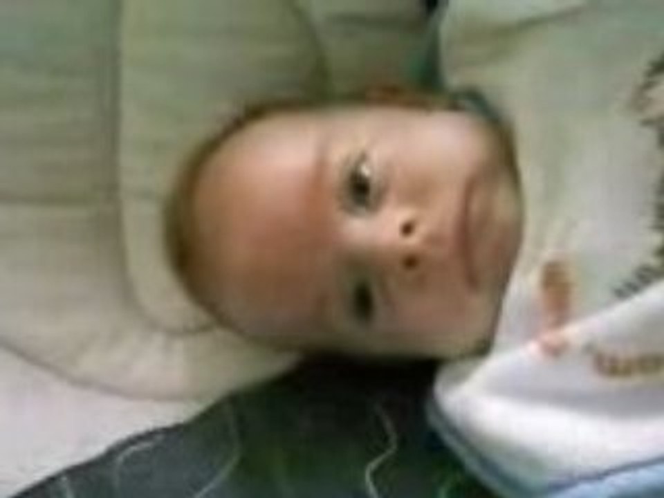BB ENZO