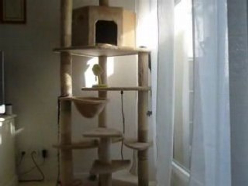Doudou et Pinocchio.