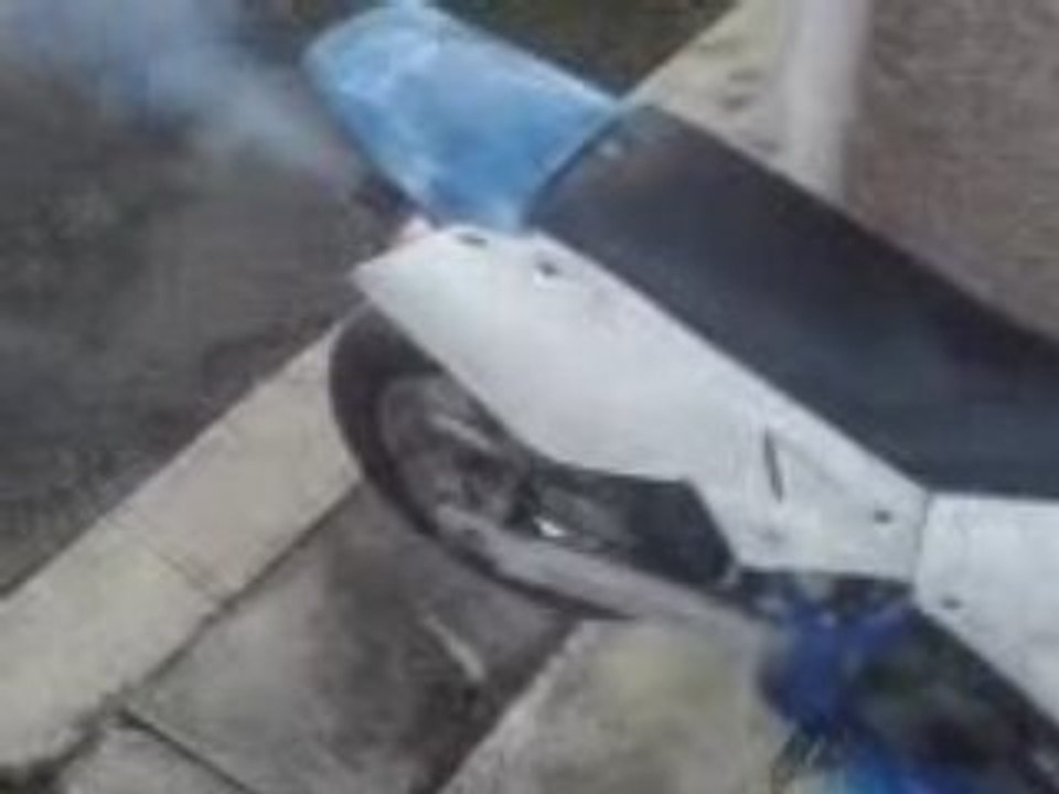 Pantera 02