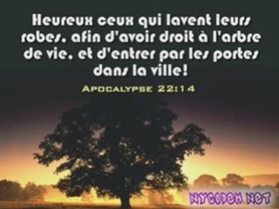 Thibault medley