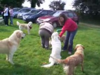 Goldingues Bretagne 4 octobre 2008