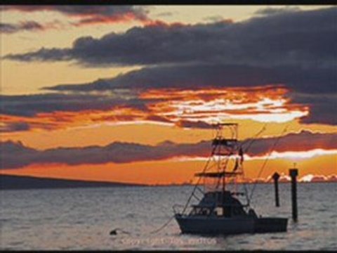 Maui Cirle Island tours Maui