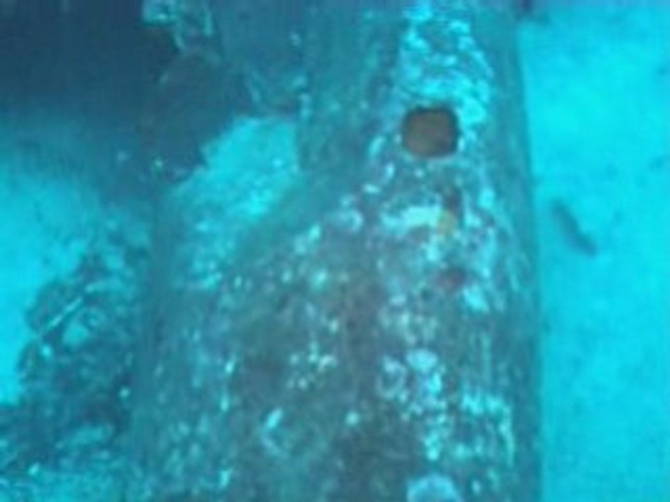 Plongée à MARSEILLE