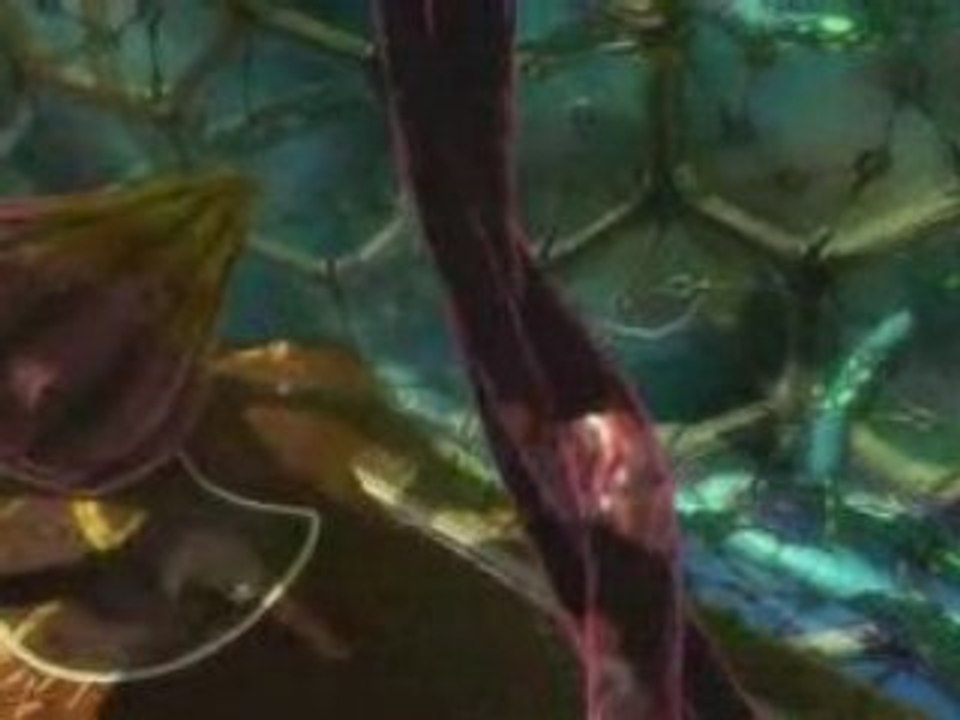 Banjo-Kazooie: Nuts & Bolts